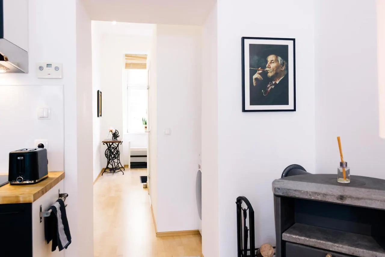 Bright, Central And Stylish City Apartment Viena Austria